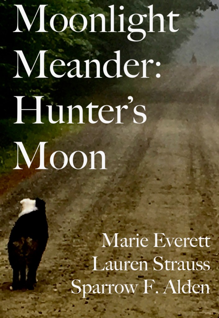 The book cover shows a Very Good Dog staring down the tree-lined dirt road at a whitetail buck in the mist.  they stared at one another for quite a while before he bounded away.  there are authors' names and the book title, but they are not as important as the Very Good Dog who ran to tell her Mommy how beautiful and wonderful the Big Animal had been.  I swear she was doing the dog-equivalent of weeping with the beauty of it.